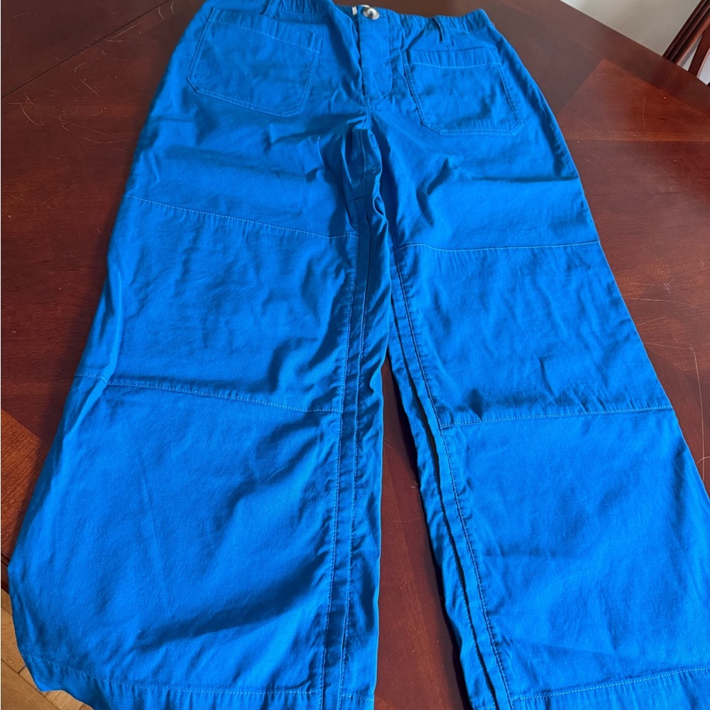 Anthropologie Mauve The Collette Wide Leg Pants in Vibrant Blue